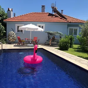 Misli - Heart Of And Newly Renovated Apartment