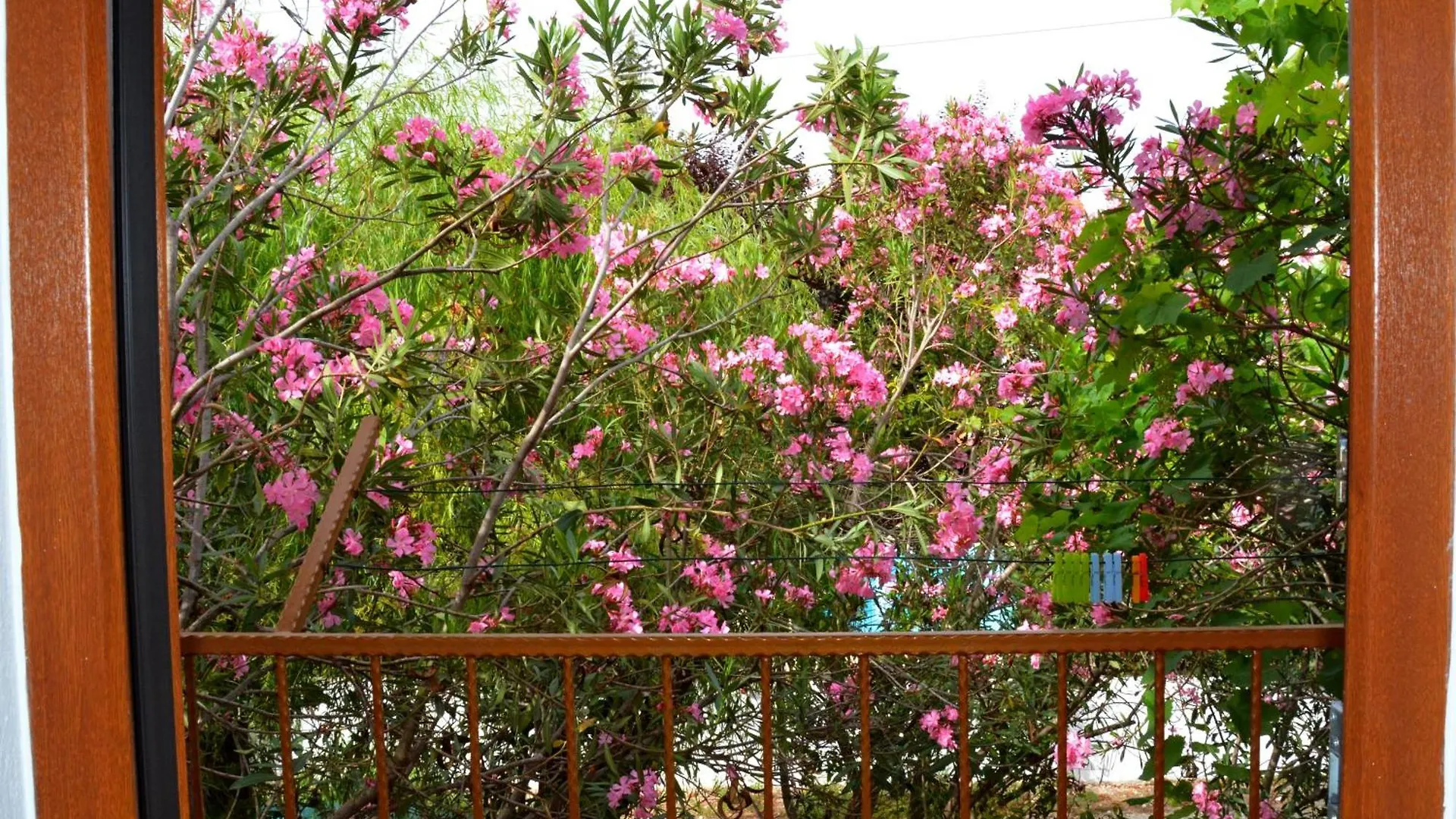 Villa Poseidon Dalyan